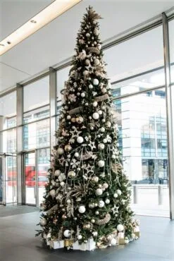 Hot Sale Christmas decorations store -Hot Sale Christmas decorations store 20ft woodland pine 2