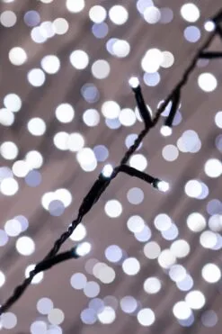 Christmas Tree World 1000 Multi Function LED Lights