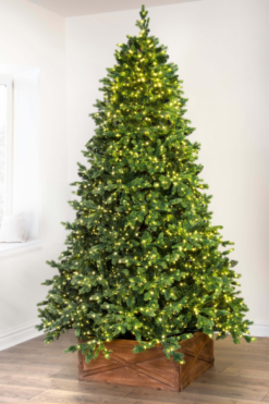 The Ultra-Lit Montagna Fir Tree (6ft To 8ft)