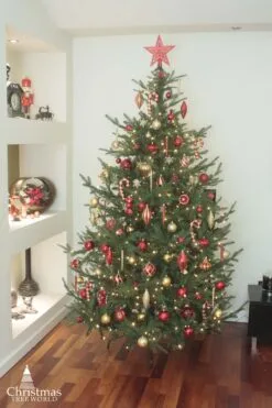 The 196pc Red & Gold Full Heavy Coverage Bauble Set (7ft Trees)