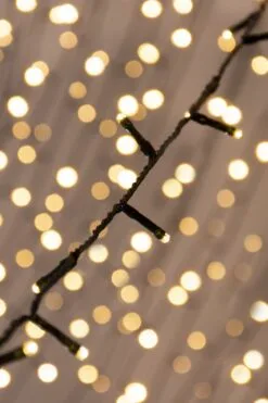 Christmas Tree World 600 Multi Function LED Lights -Hot Sale Christmas decorations store warm white led string lrs 5