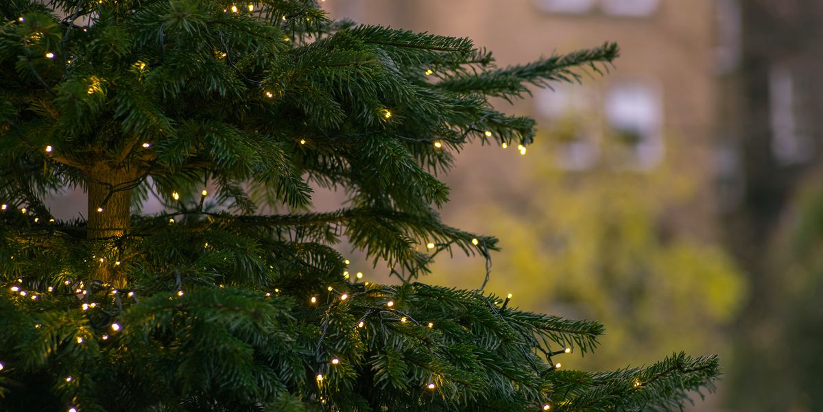 Hot Sale Christmas decorations store 4 Hot Sale Christmas decorations store -Hot Sale Christmas decorations store 145